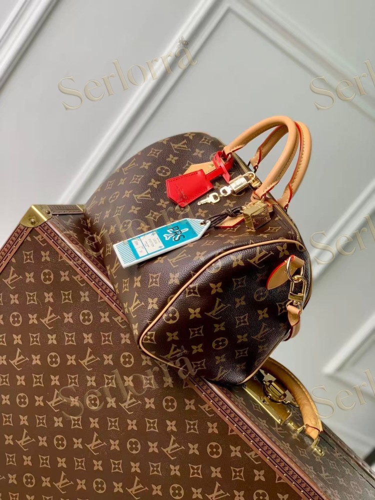 LOUIS VUITTON SPEEDY SOFT 30 CRAFTY