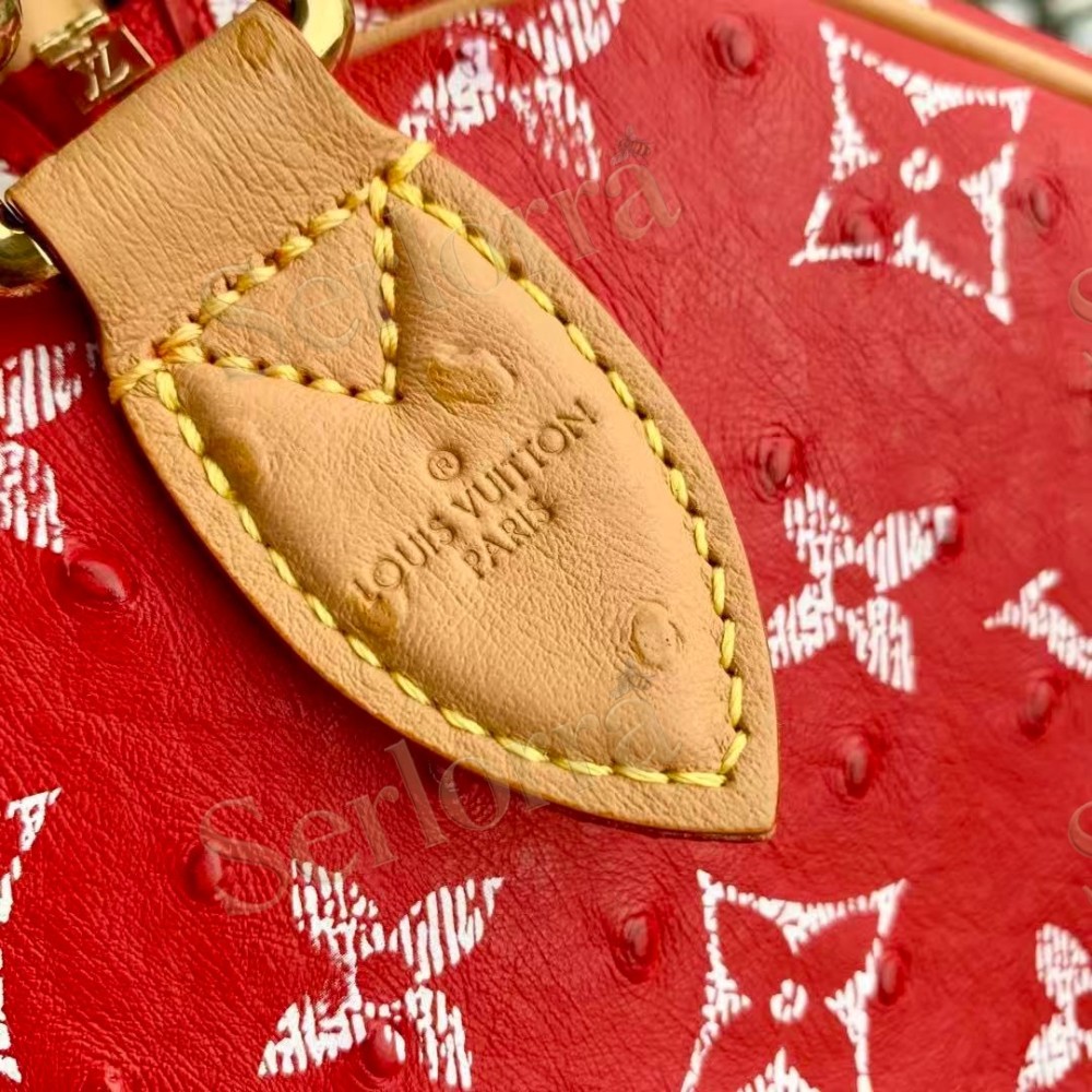 LOUIS VUITTON SPEEDY P9 BANDOULIÈRE 30