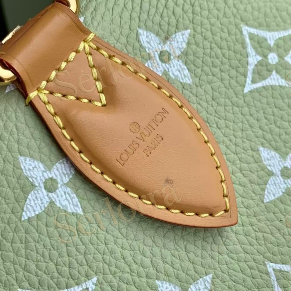 LOUIS VUITTON SPEEDY P9 BANDOULIÈRE 30