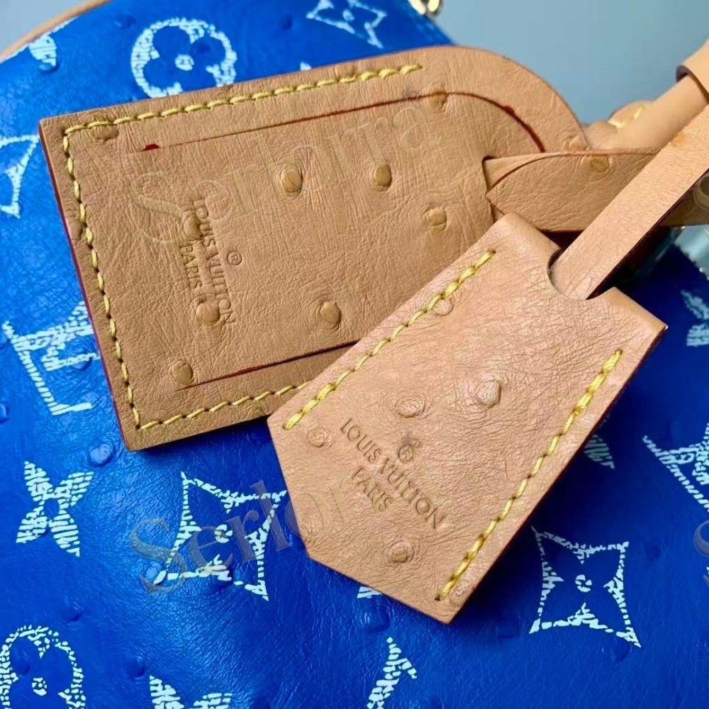 LOUIS VUITTON SPEEDY P9 BANDOULIÈRE 30