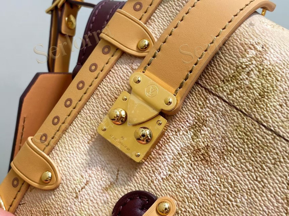LOUIS VUITTON SIDE TRUNK MM
