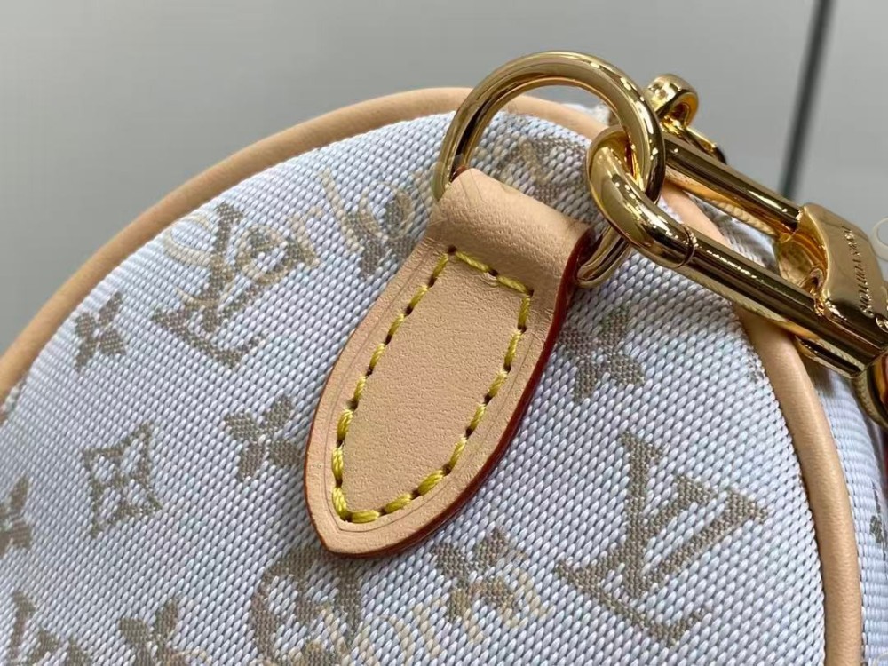 LOUIS VUITTON SPEEDY BANDOULIÈRE 20
