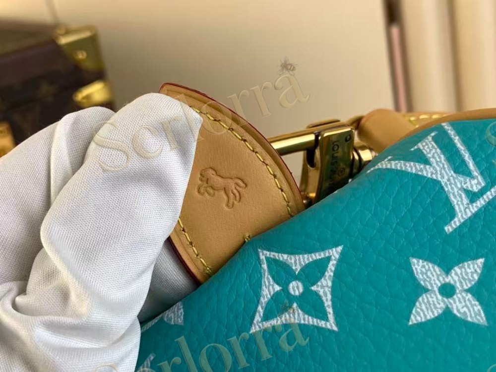 LOUIS VUITTON SPEEDY P9 BANDOULIÈRE 25