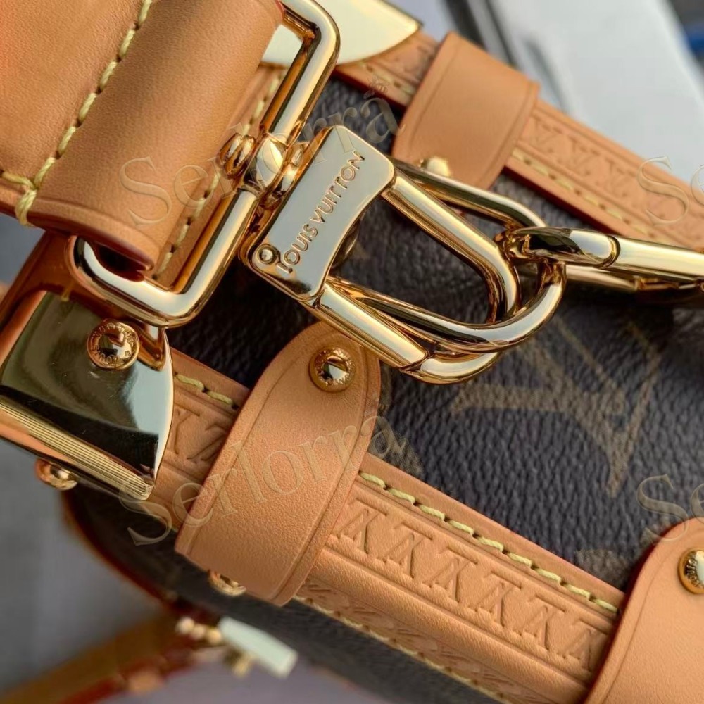LOUIS VUITTON SIDE TRUNK PM