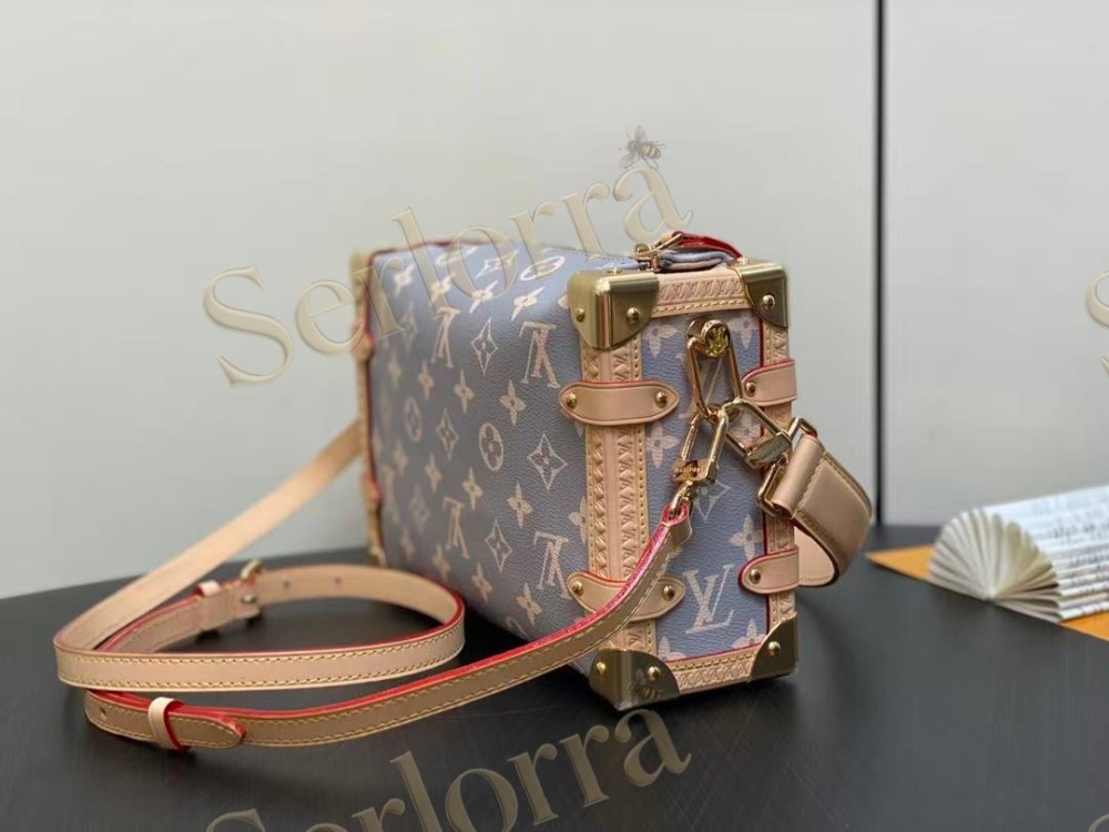 LOUIS VUITTON SIDE TRUNK MM
