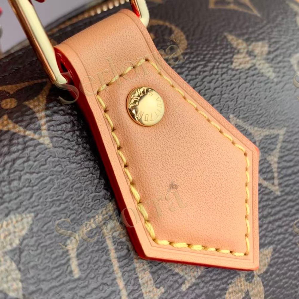 LOUIS VUITTON SPEEDY SOFT 30 CRAFTY