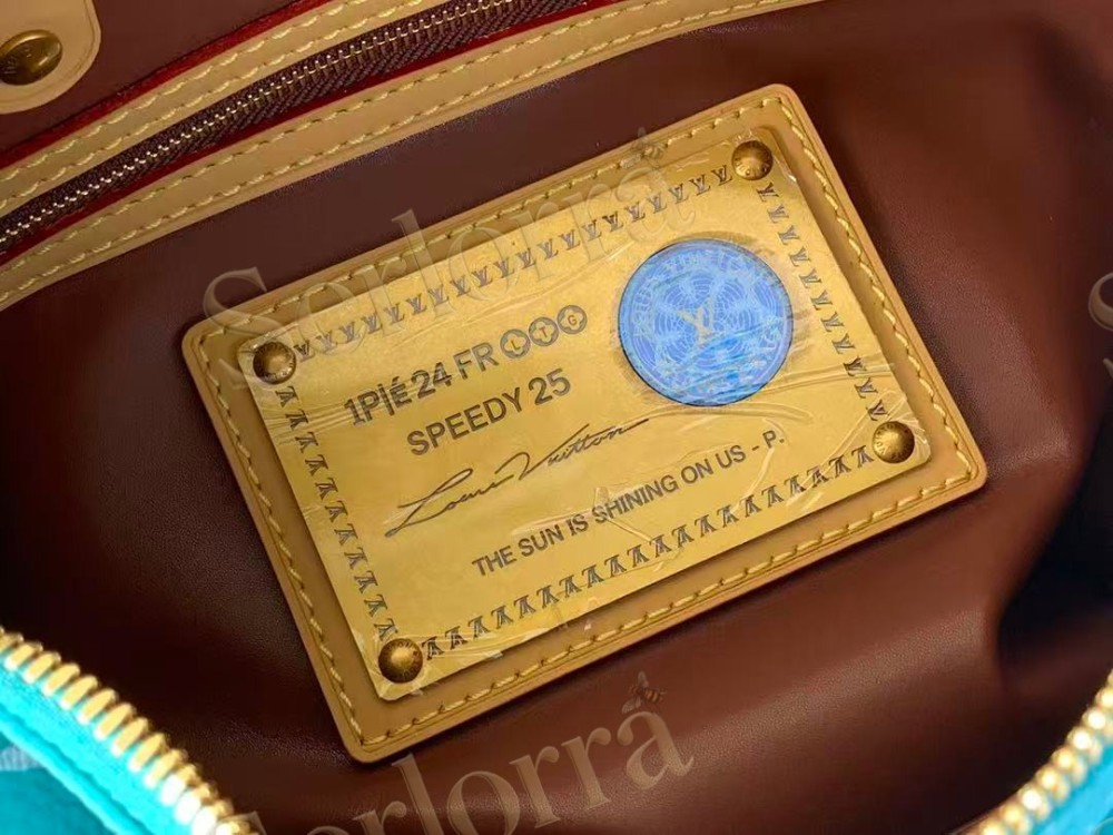 LOUIS VUITTON SPEEDY P9 BANDOULIÈRE 25
