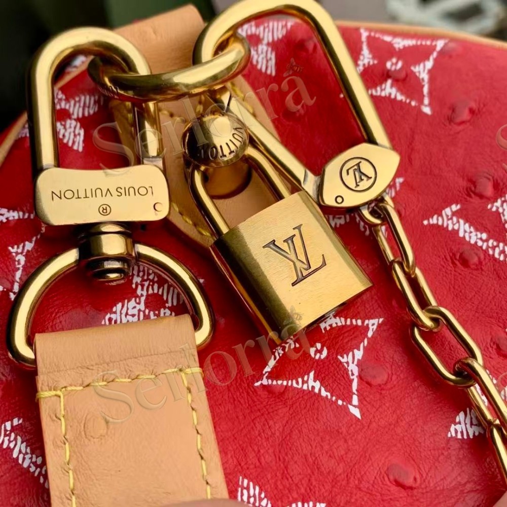 LOUIS VUITTON SPEEDY P9 BANDOULIÈRE 30