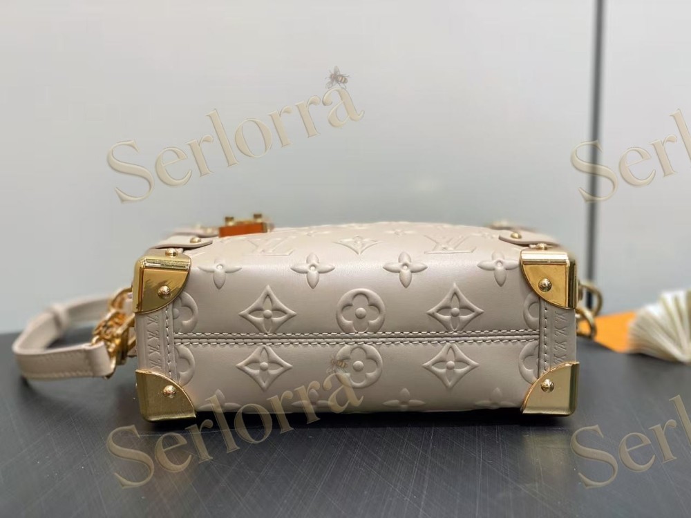 LOUIS VUITTON SIDE TRUNK PM