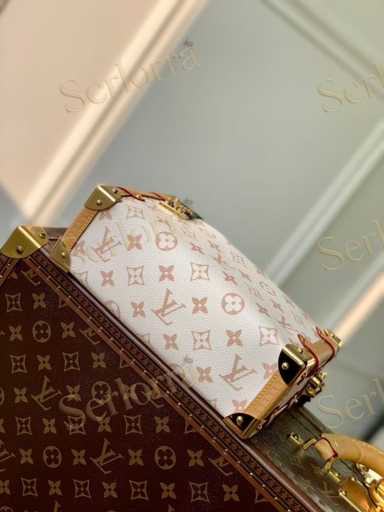 LOUIS VUITTON SIDE TRUNK MM