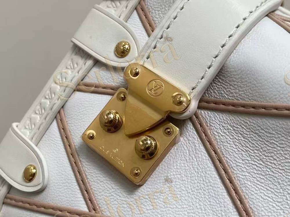 LOUIS VUITTON SIDE TRUNK PM