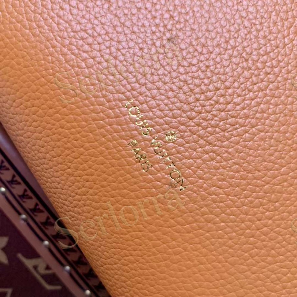 LOUIS VUITTON SIDE TRUNK PM