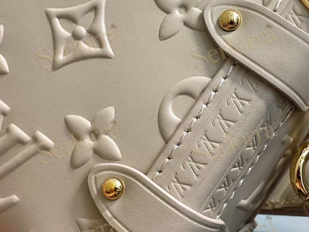 LOUIS VUITTON SIDE TRUNK PM
