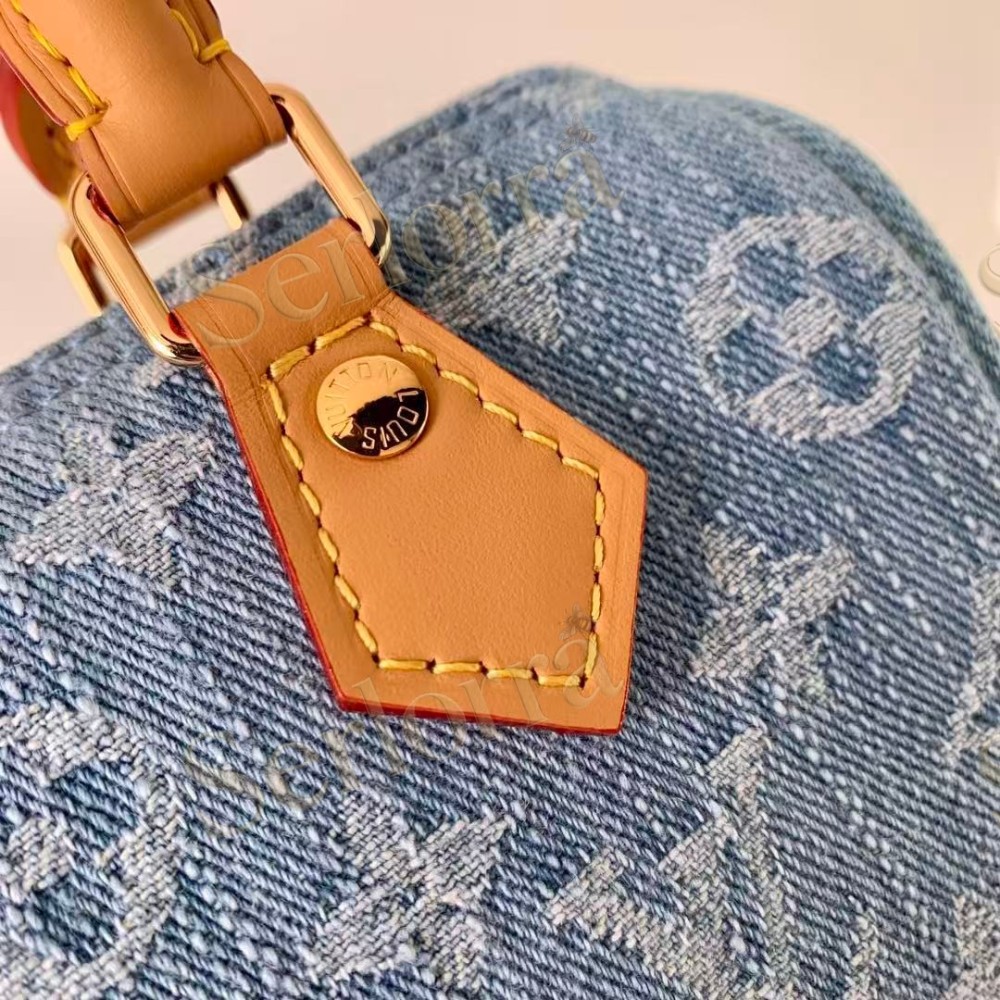 LOUIS VUITTON DENIM NANO SPEEDY