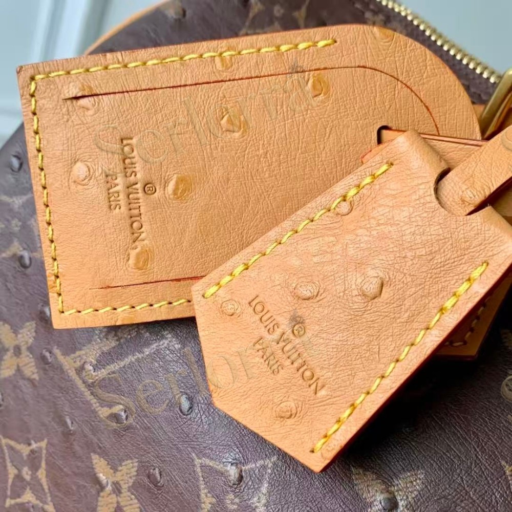LOUIS VUITTON SPEEDY P9 BANDOULIÈRE 30