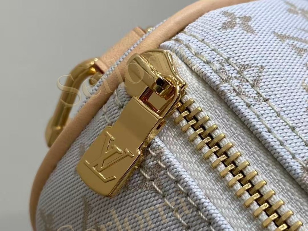 LOUIS VUITTON SPEEDY BANDOULIÈRE 20