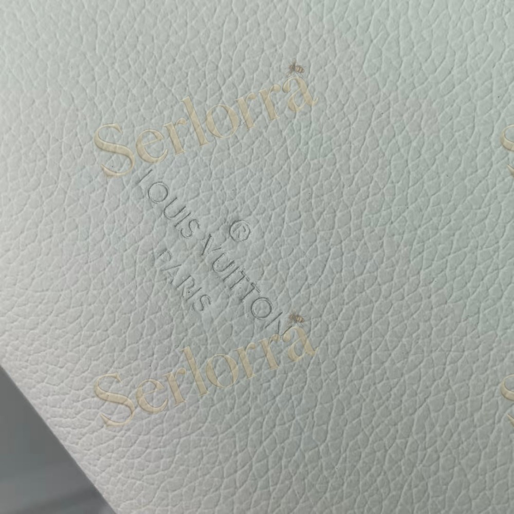 LOUIS VUITTON SIDE TRUNK PM