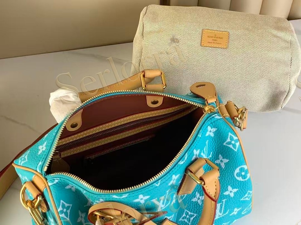LOUIS VUITTON SPEEDY P9 BANDOULIÈRE 25