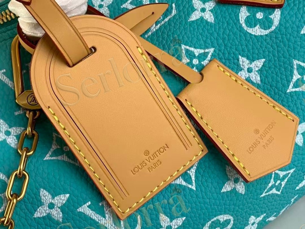 LOUIS VUITTON SPEEDY P9 BANDOULIÈRE 25