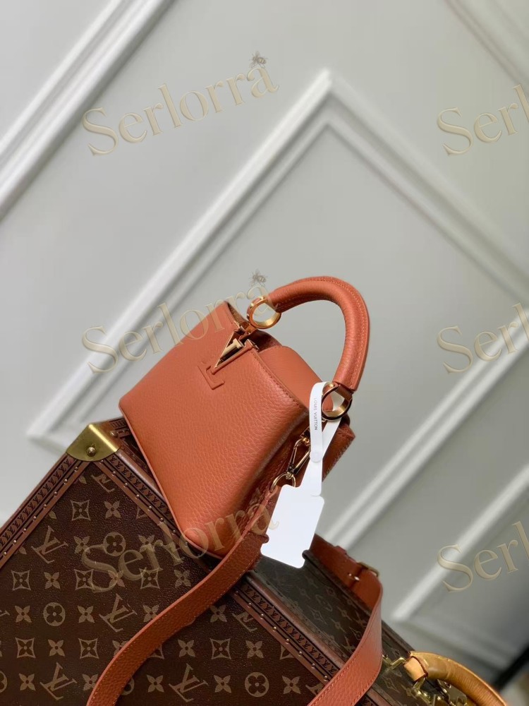 LOUIS VUITTON CAPUCINES MINI