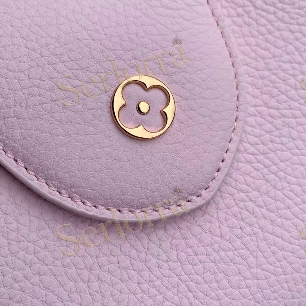 LOUIS VUITTON CAPUCINES BB