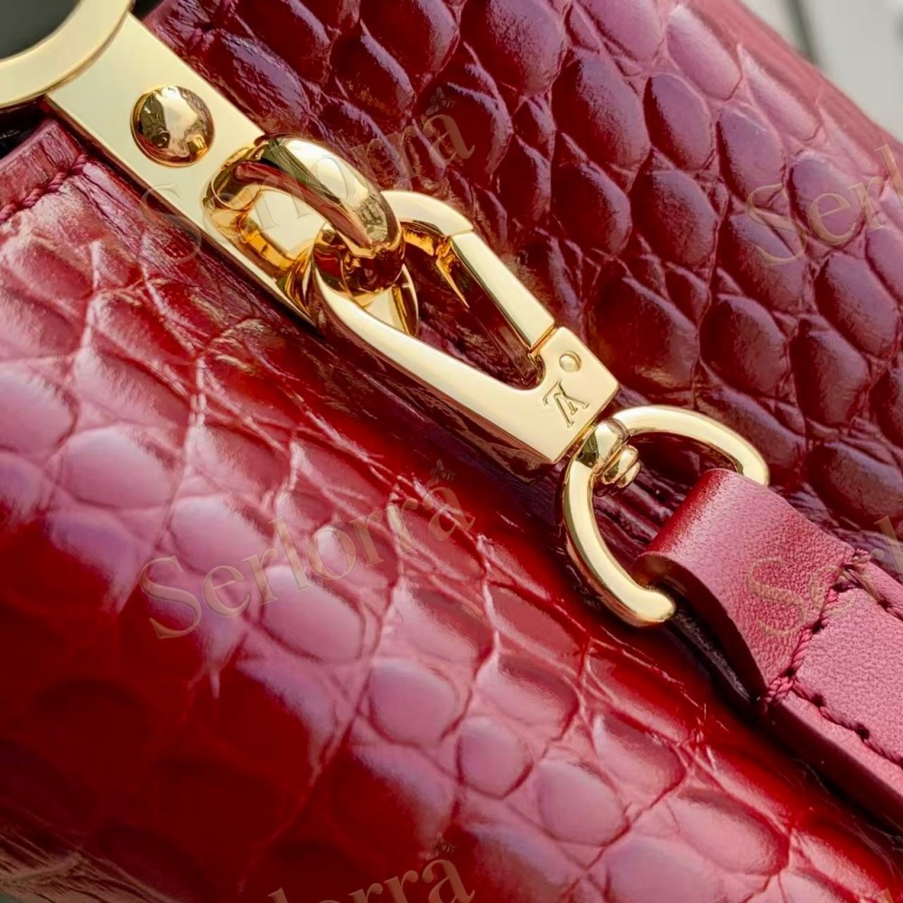 LOUIS VUITTON CAPUCINES MINI