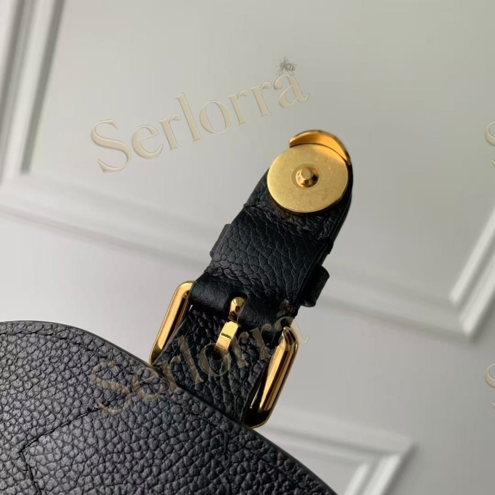 LOUIS VUITTON BACKUP