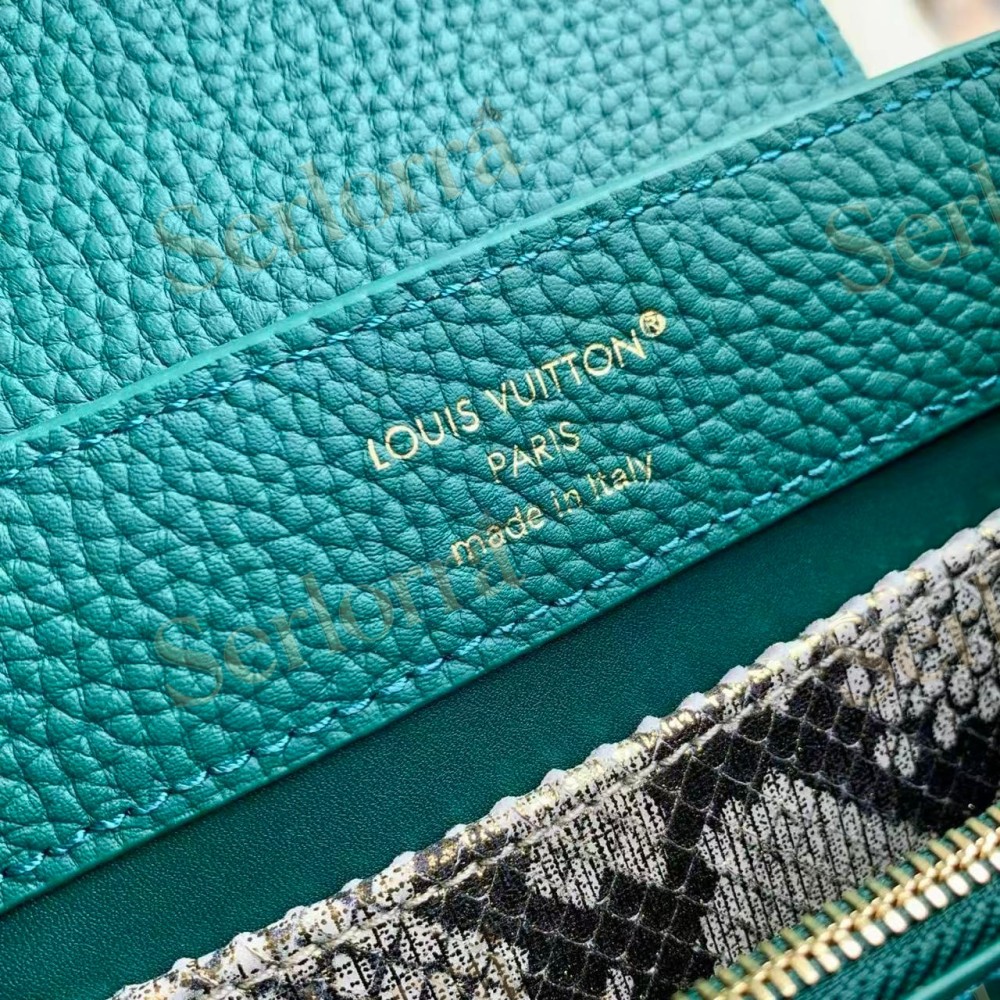 LOUIS VUITTON CAPUCINES MINI