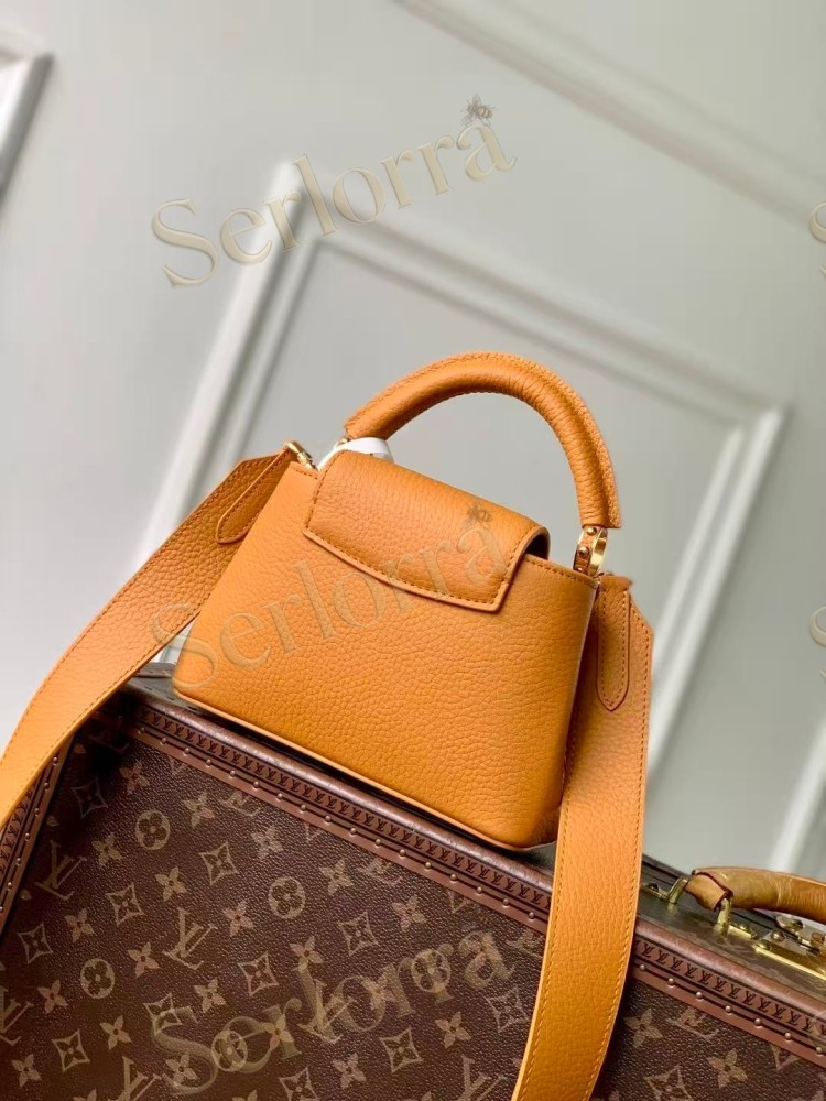 LOUIS VUITTON CAPUCINES MINI