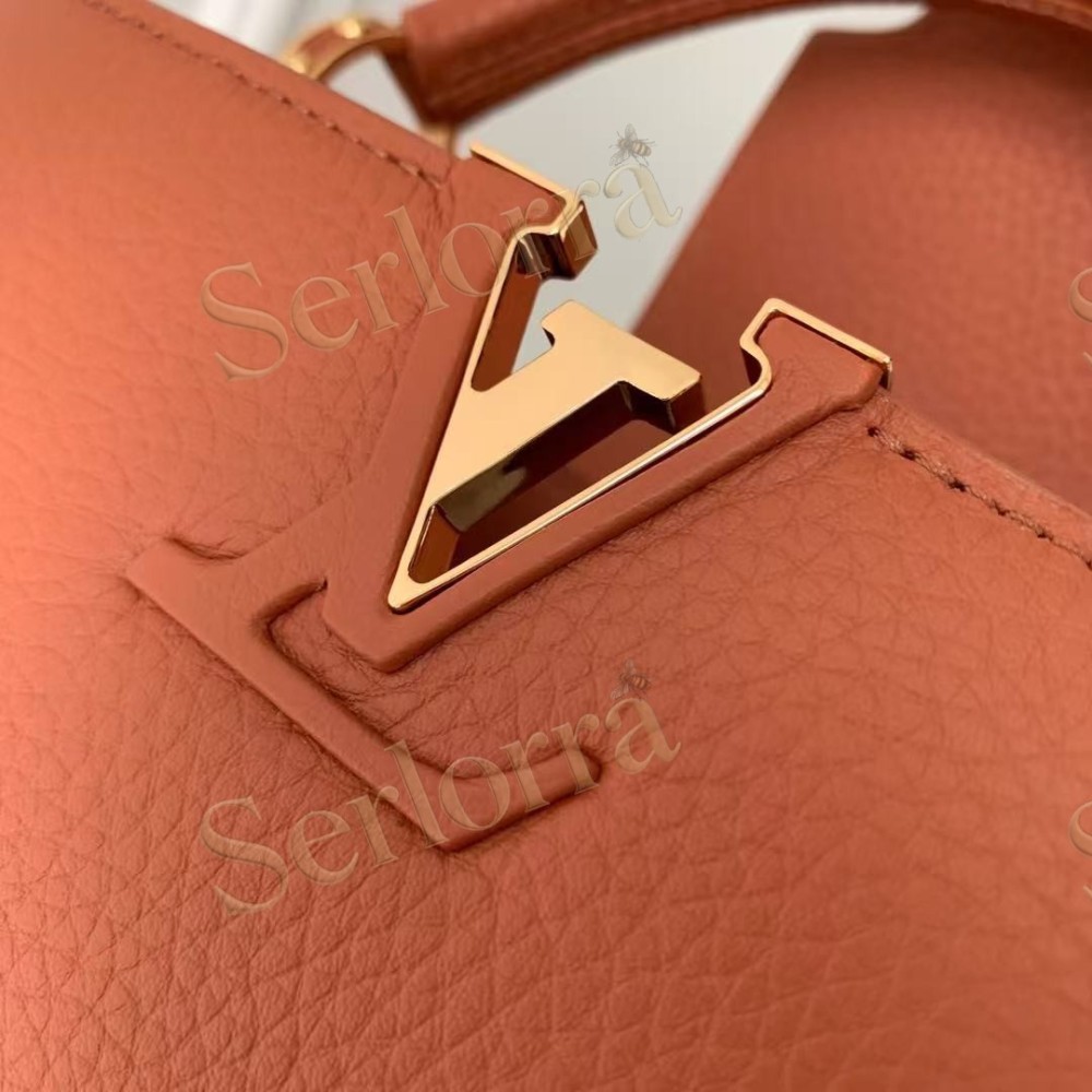 LOUIS VUITTON CAPUCINES MINI