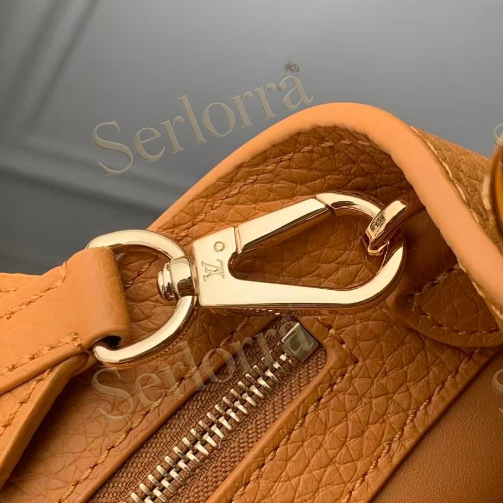 LOUIS VUITTON CAPUCINES MINI