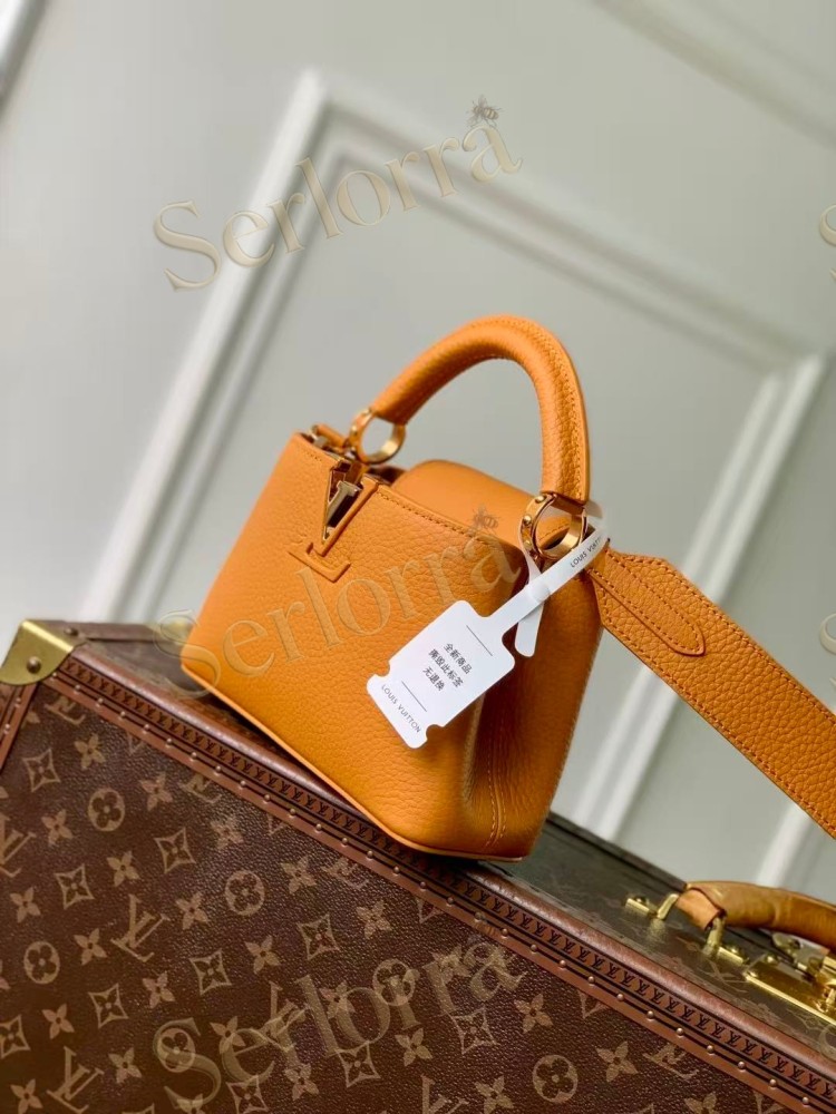 LOUIS VUITTON CAPUCINES MINI