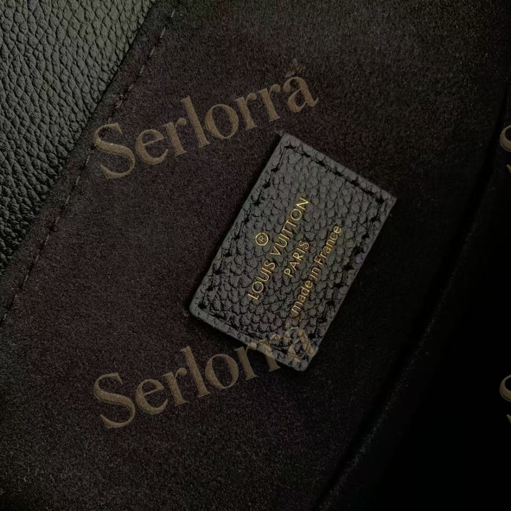 LOUIS VUITTON BACKUP