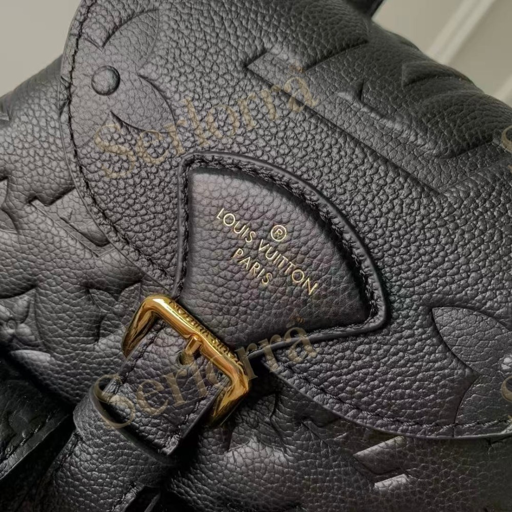 LOUIS VUITTON BACKUP