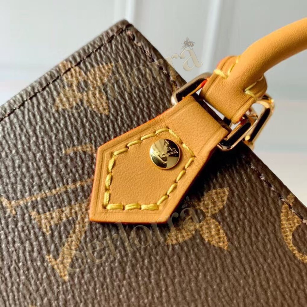 LOUIS VUITTON PETIT SAC PLAT
