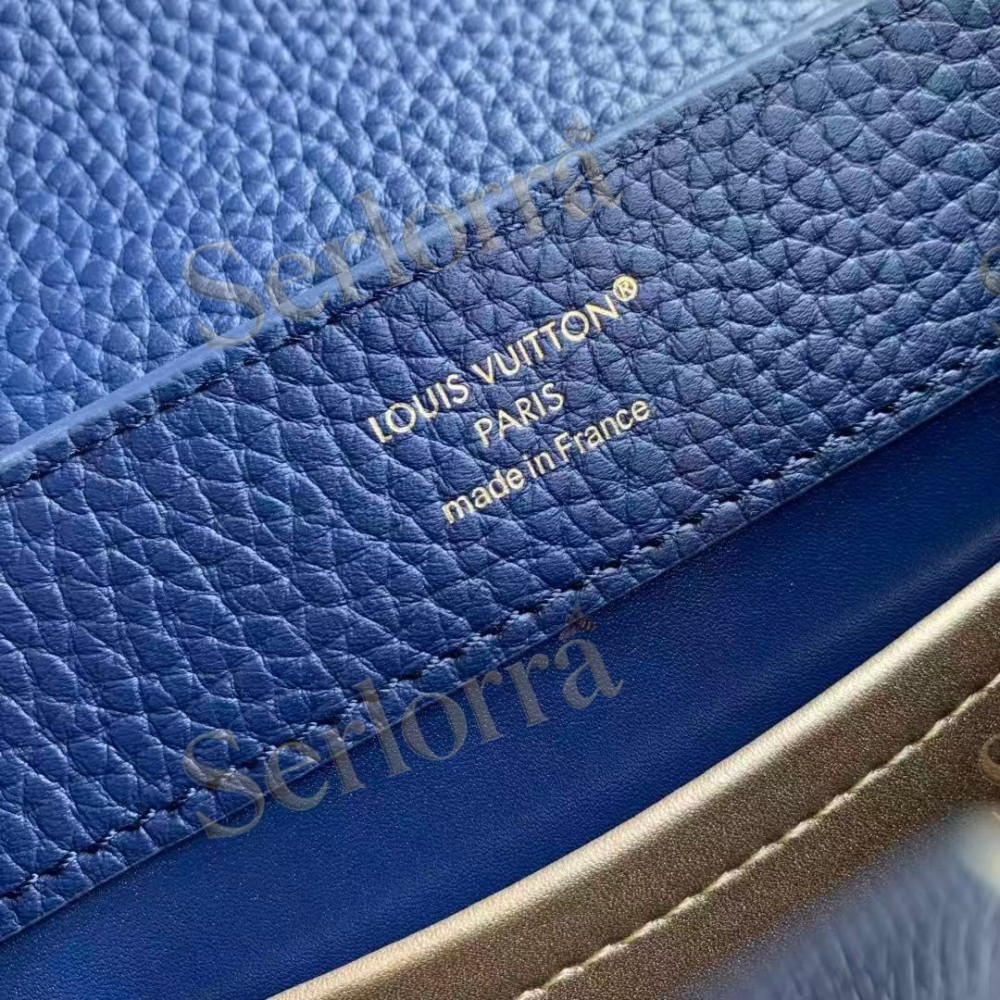 LOUIS VUITTON CAPUCINES MINI