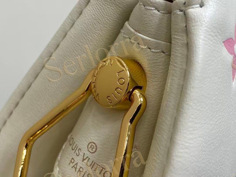 LOUIS VUITTON COUSSIN PM