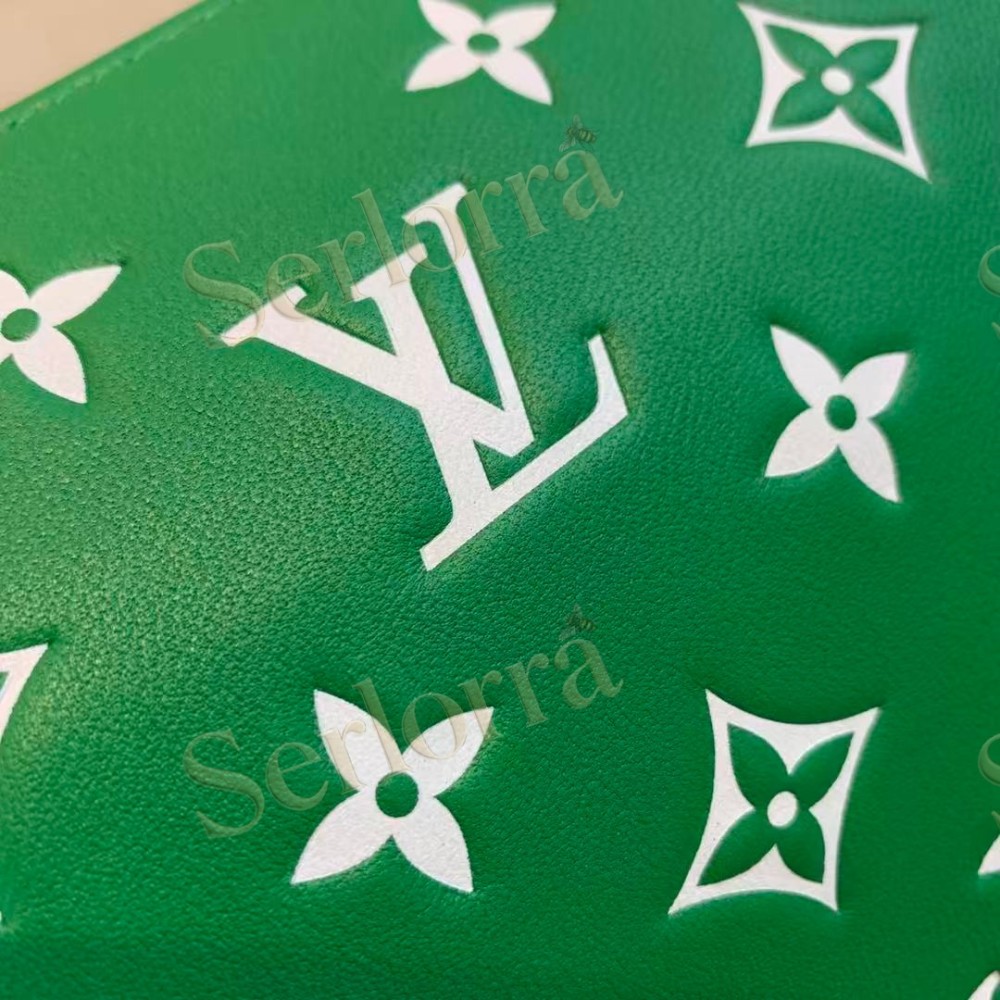 LOUIS VUITTON COUSSIN PM