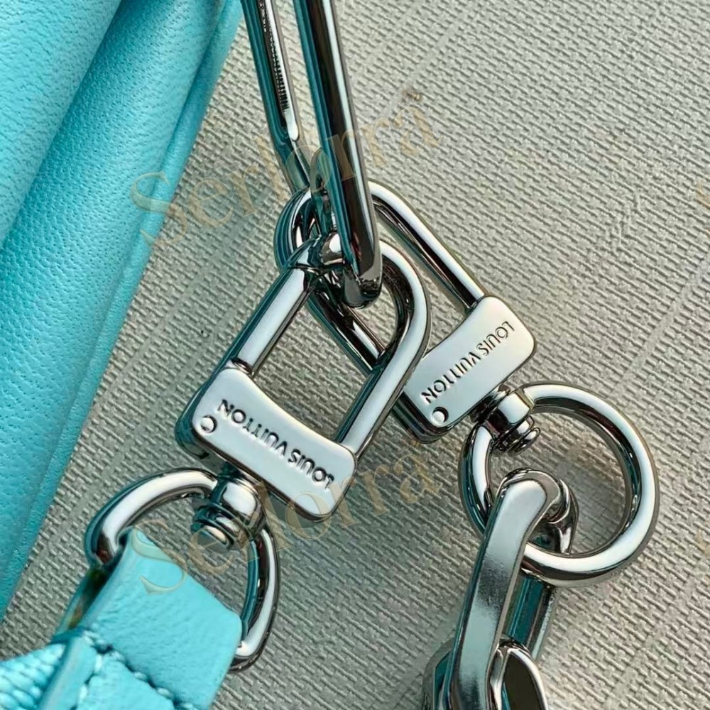 LOUIS VUITTON COUSSIN PM