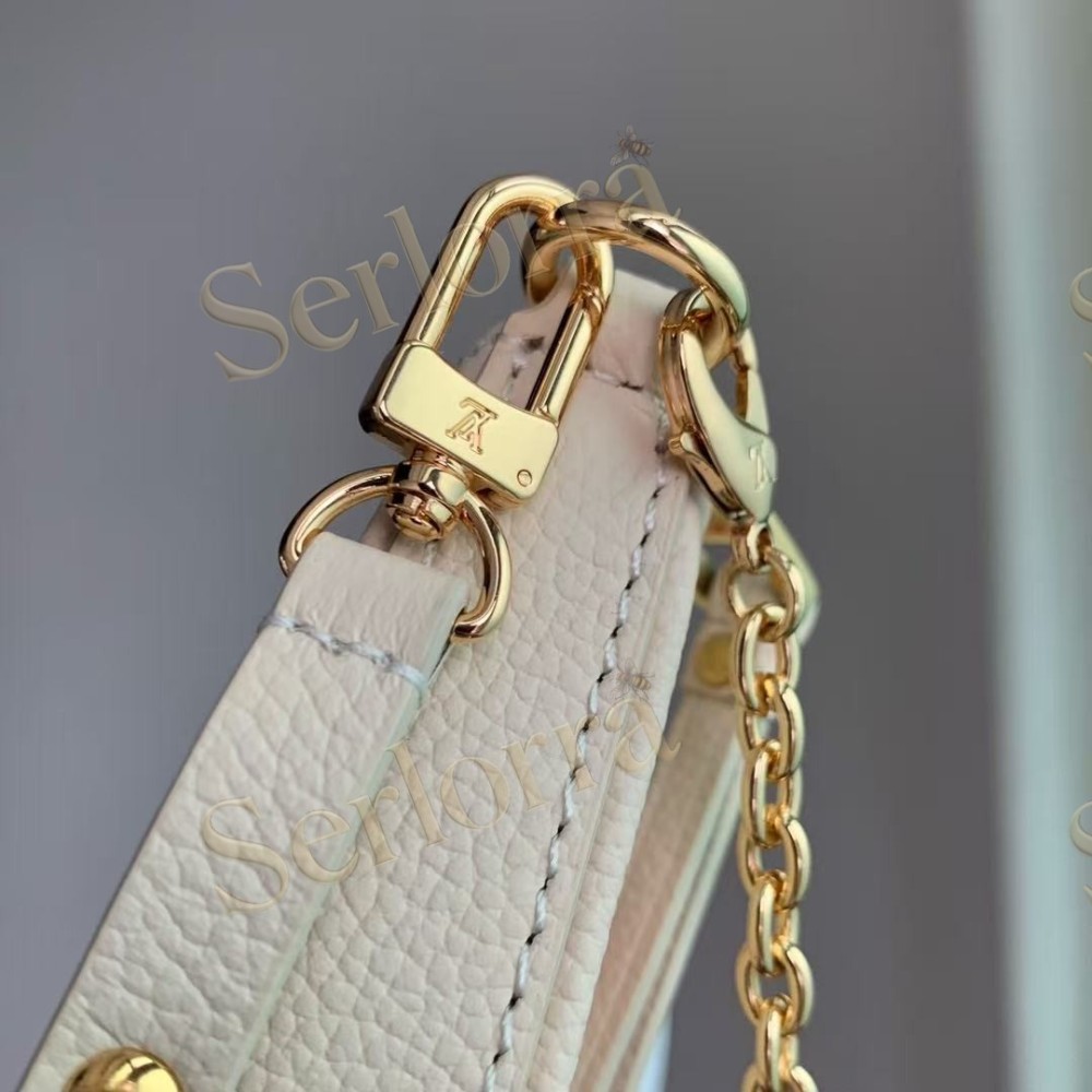 LOUIS VUITTON EASY POUCH ON STRAP