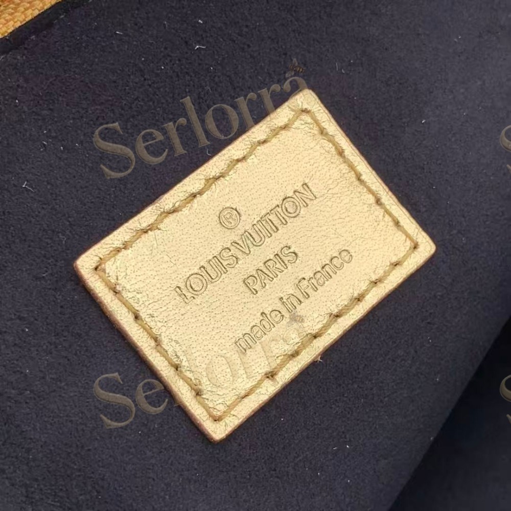 LOUIS VUITTON COUSSIN PM