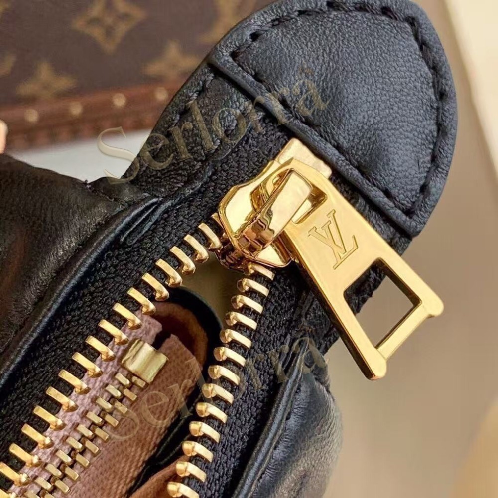 LOUIS VUITTON COUSSIN PM