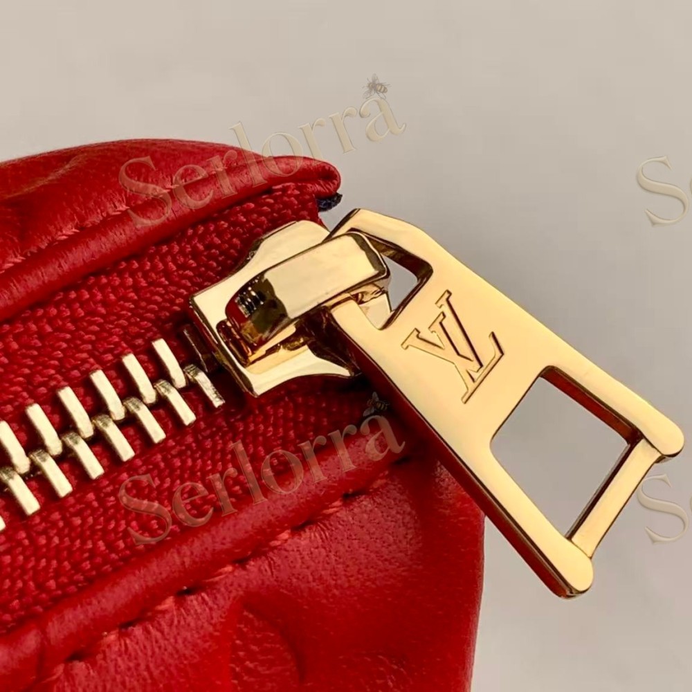 LOUIS VUITTON COUSSIN PM