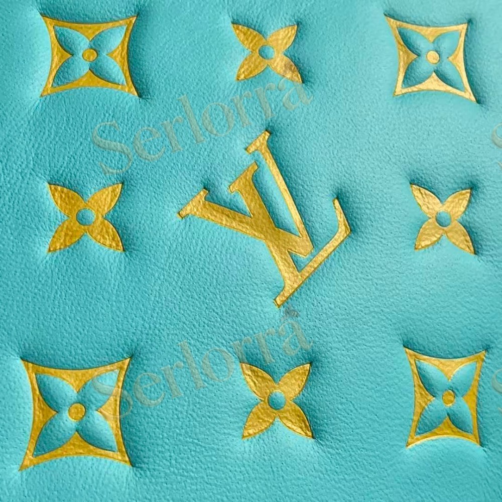 LOUIS VUITTON COUSSIN PM