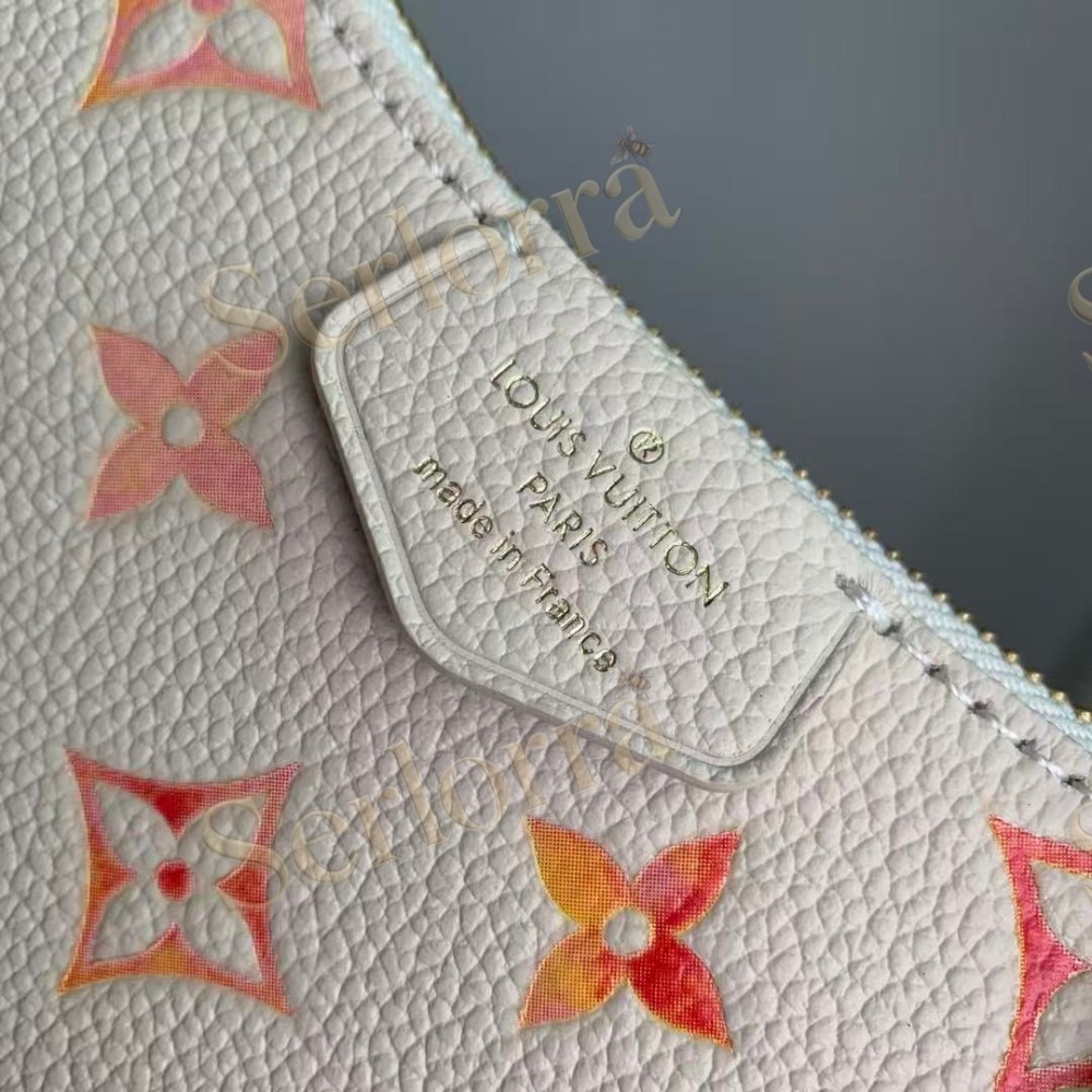 LOUIS VUITTON EASY POUCH ON STRAP