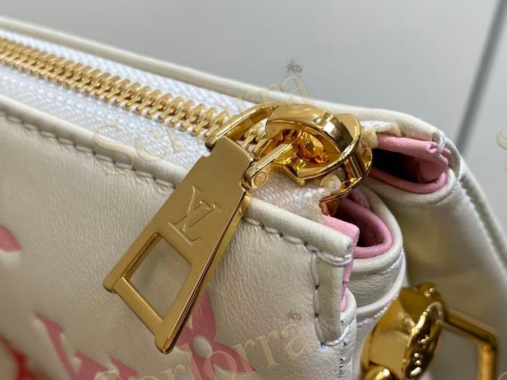 LOUIS VUITTON COUSSIN PM