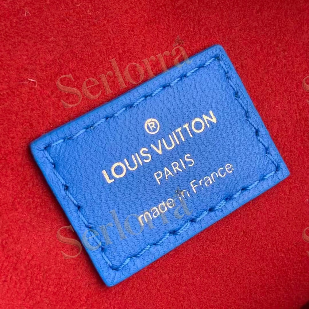 LOUIS VUITTON COUSSIN PM