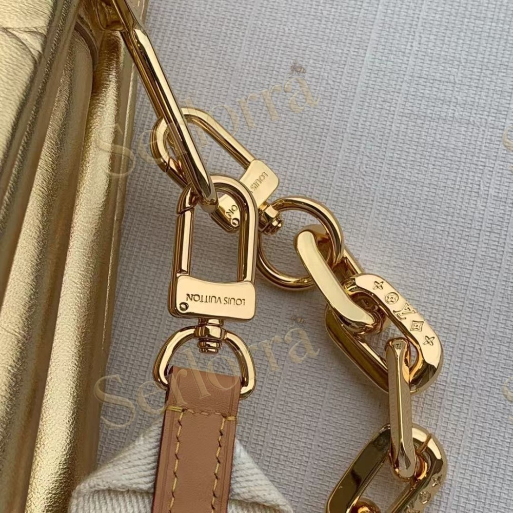 LOUIS VUITTON COUSSIN PM