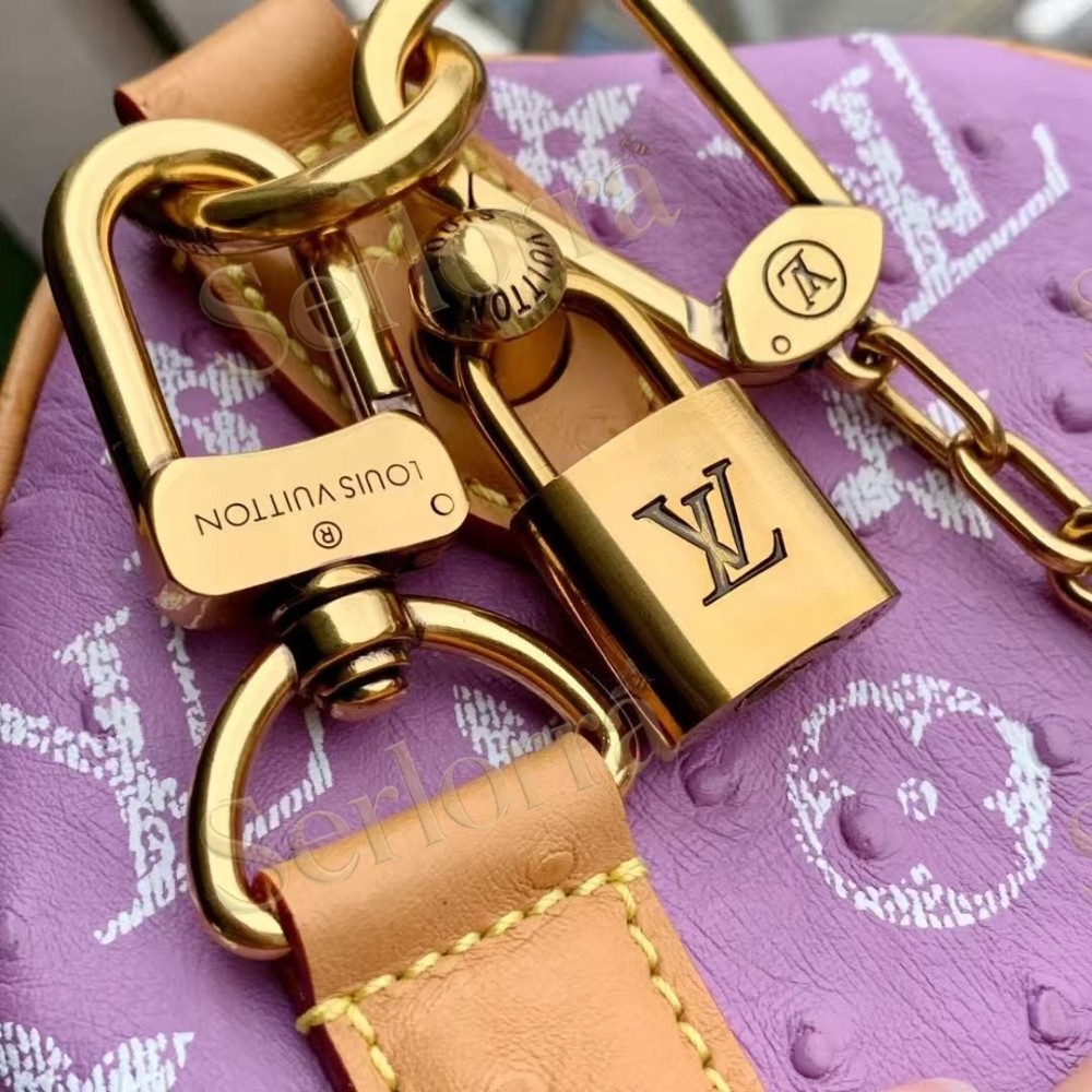 LOUIS VUITTON SPEEDY P9 BANDOULIÈRE 25