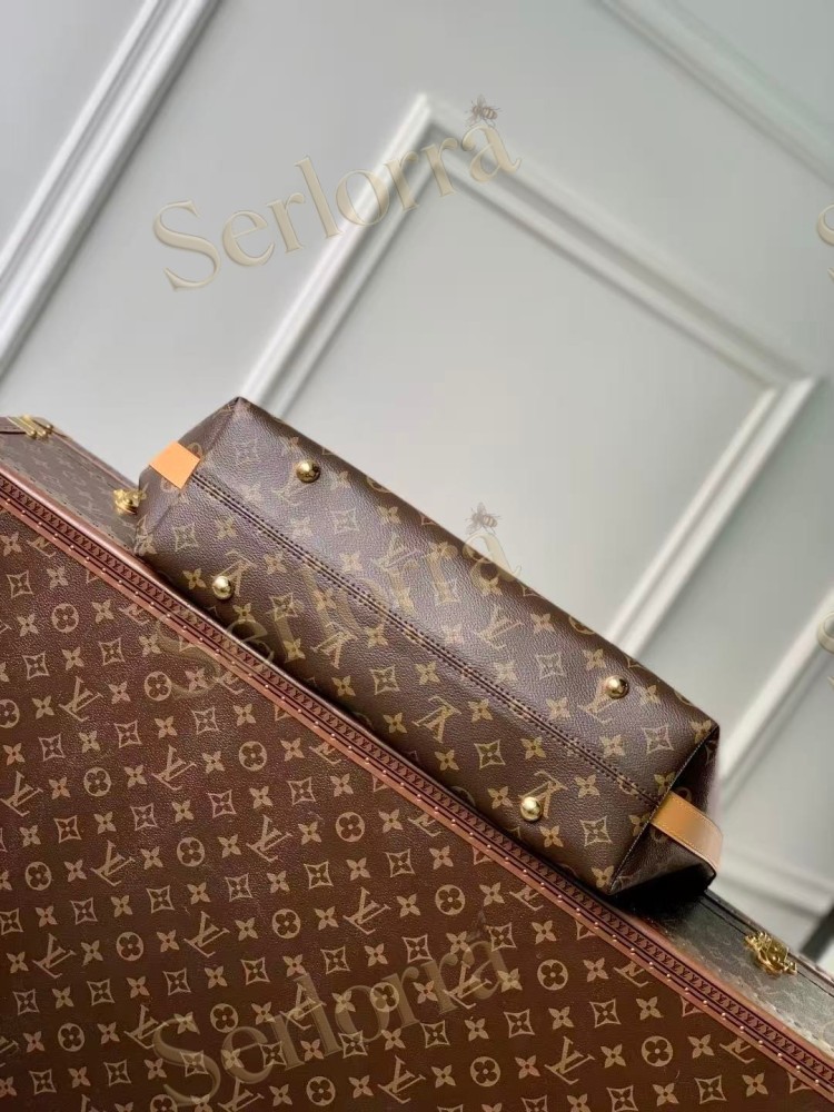 LOUIS VUITTON VAGABOND HOBO